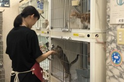 ペットショップふしみ