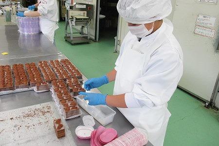 株式会社シベール